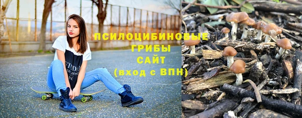стаф Слюдянка
