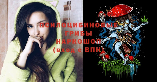 гидропоника Белокуриха