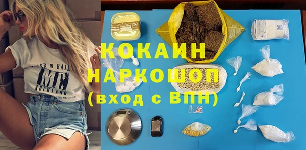 молекула духа Снежногорск