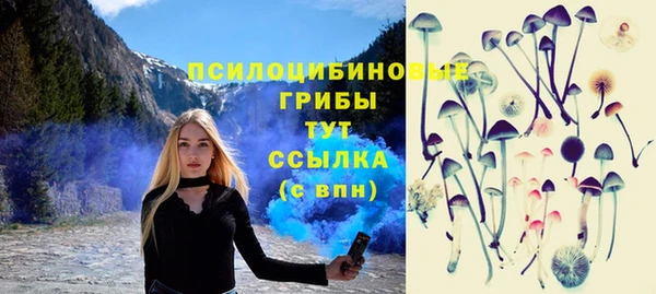 гидра Белоозёрский