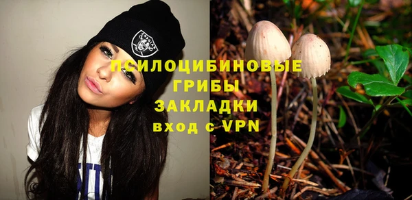 гидропоника Белокуриха