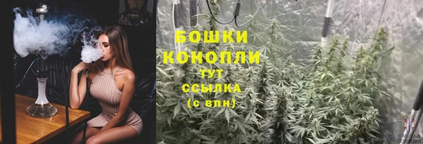 гидропоника Белокуриха