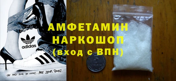 молекула духа Снежногорск