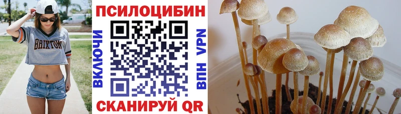 хочу   гидра сайт  Галлюциногенные грибы мухоморы  Горняк 